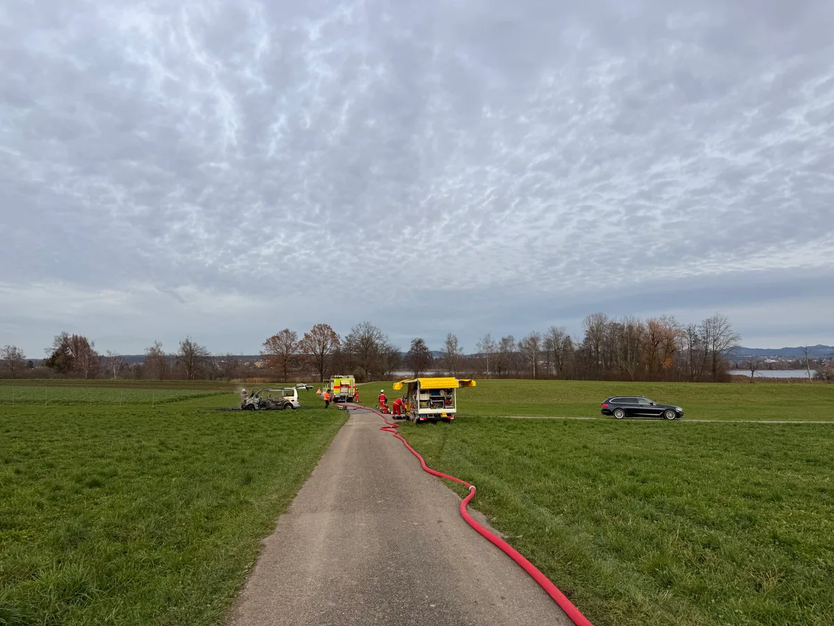 Ein Auto auf einer Wiese brennt.